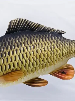 Akční Nabídka GABY POLŠTÁŘ KAPR 100 CM (ŠUPINÁČ)