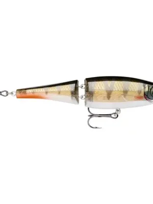 Akční Nabídka RAPALA BX Swimmer 12cm 22g RFP