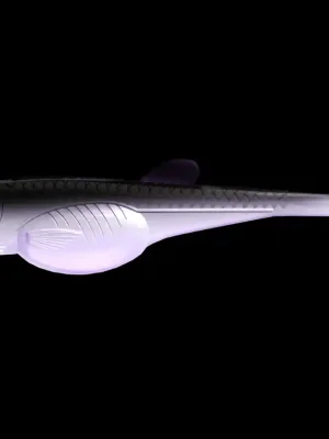 Libra Lures Embrion Shad 10cm 120 Violet Shine Odeslání Ihned