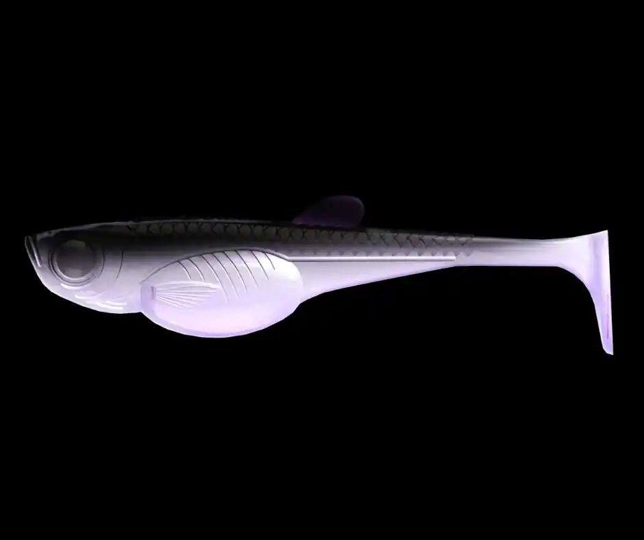 Libra Lures Embrion Shad 10cm 120 Violet Shine Odeslání Ihned