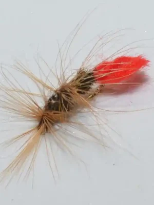 Muška Ice Fish 5 Oblíbený