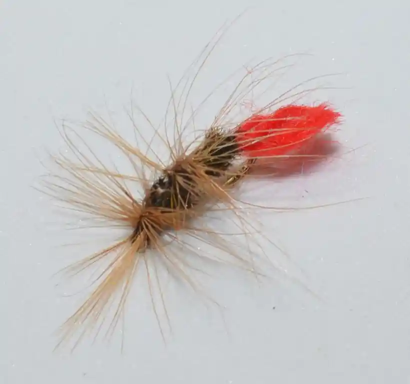 Muška Ice Fish 5 Oblíbený
