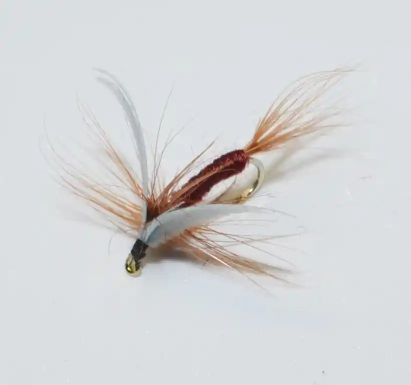 Nakupujte Hned Muška Ice Fish 11