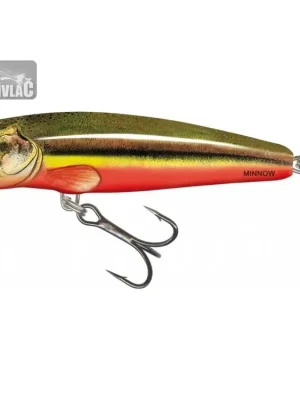 Značkový Wobler Salmo Minnow 5cm Floating Rainbow Dace