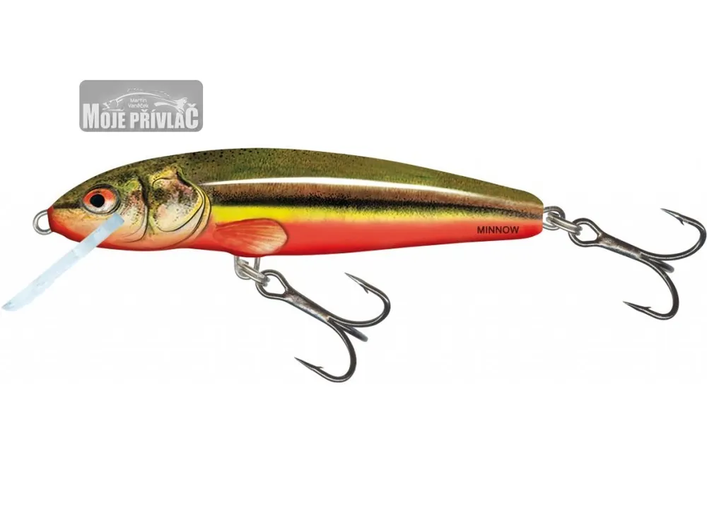 Značkový Wobler Salmo Minnow 5cm Floating Rainbow Dace