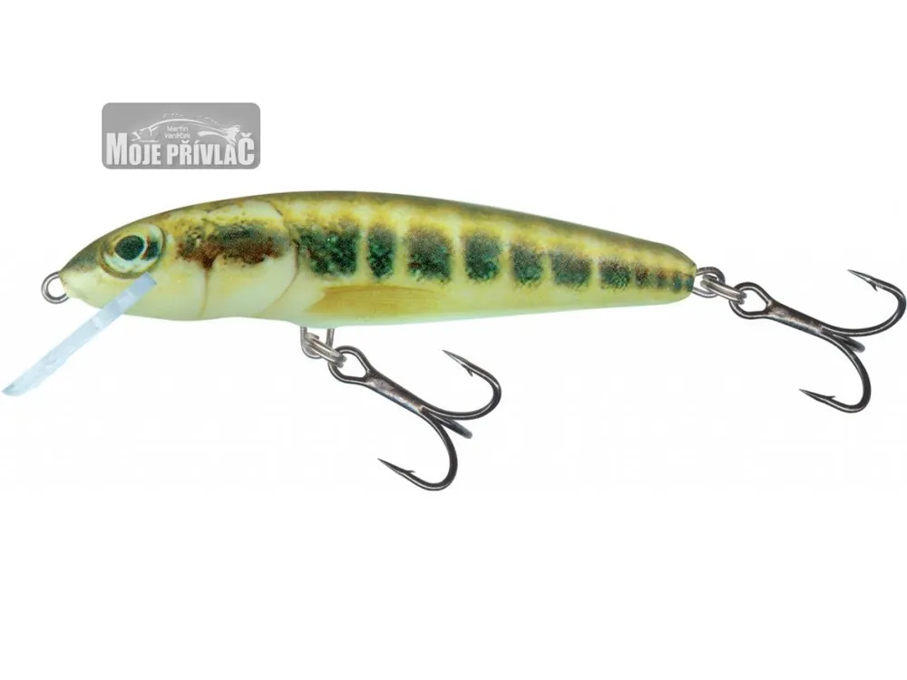 Značkový Wobler Salmo Minnow 5cm Sinking Minnow