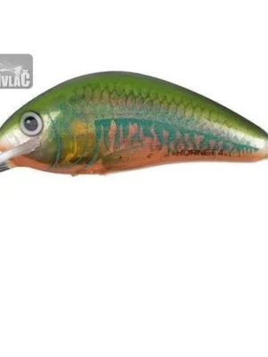 Wobler Salmo Hornet 3,5cm Floating Holo Oikawa Bezpečná Platba