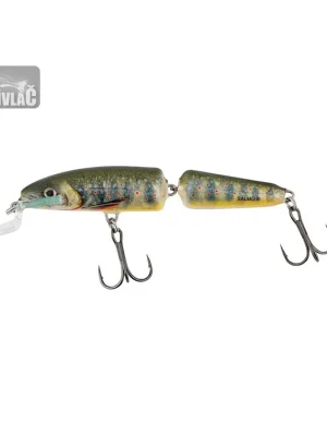 Akční Cena Wobler Salmo Fanatic 7cm Floating Lake Charr
