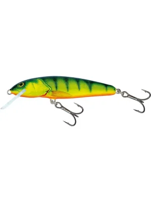 Wobler SALMO Minnow F 9cm barva HP - plovoucí Nová Kolekce
