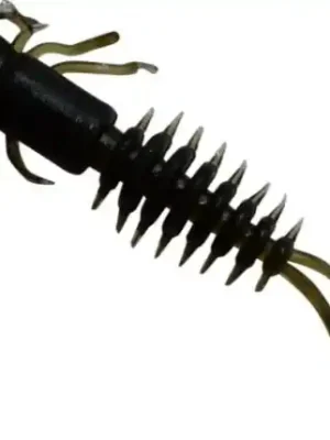 Predator-Z Nymfa Centipede Killer - 10 ks / 4 cm Originální