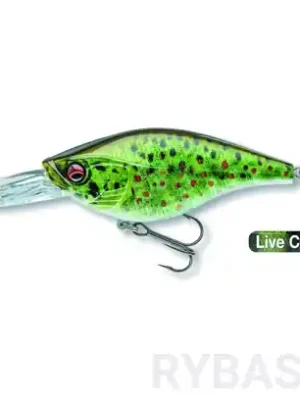 Akce Daiwa Prorex Crank Bait 80DR, Live Brown Trout