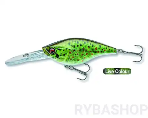 Akce Daiwa Prorex Crank Bait 80DR, Live Brown Trout